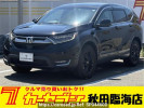 Honda CR-V RW2