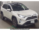 Toyota RAV4 MXAA54