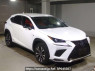 Used 2019 AT lexus nx AYZ10 Image[2]