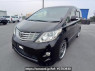 Used 2010 AT toyota alphard ANH20W Image[2]