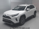 Toyota RAV4 AXAH54