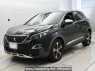 Used 2019 AT peugeot 3008 P84AH01 Image[0]