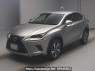 Used 2019 AT lexus nx AYZ10 Image[0]