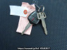 Used 2008 AT mitsubishi ek-wagon H82W Image[30]