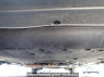 Used 2013 AT honda fit GK3 Image[36]