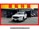 Mazda CX-8 KG2P