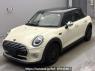 Used 2019 AT mini mini XT15M Image[0]