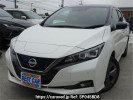 Nissan Leaf ZE1