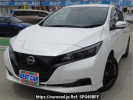 Nissan Leaf ZE1