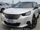 Peugeot e-2008 P24ZK01