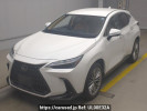 Lexus NX AAZH25
