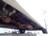 Used 2017 AT toyota regiusace-van KDH201V Image[38]