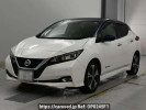 Nissan Leaf ZE1