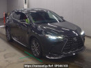 Lexus NX AAZA25