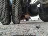 Used 1996 MT mitsubishi canter FE538B Image[30]
