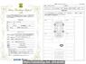 Used 2025 AT suzuki hustler MR92S Image[1]