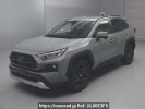 Toyota RAV4 MXAA54