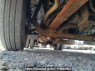 Used 1994 MT mitsubishi canter FE517BC Image[30]