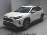 Used 2023 AT toyota rav4 AXAH54 Image[0]