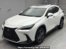 Used 2023 AT lexus nx AAZA20 Image[0]