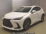 Used 2023 AT lexus nx AAZA20 Image[0]