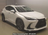 Used 2023 AT lexus nx AAZA20 Image[2]