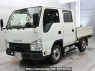 Used 2019 MT isuzu elf-truck NHS85A Image[1]