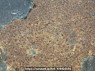 Used 1999 MT mitsubishi-fuso fighter FK727CD Image[22]