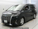 Toyota Alphard Hybrid AYH30W