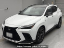 Lexus NX AAZH20