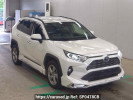 Toyota RAV4 AXAH54