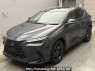 Used 2023 AT lexus nx AAZH25 Image[0]