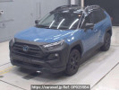Toyota RAV4 AXAH54
