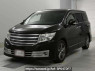 Used 2010 AT nissan elgrand PNE52 Image[0]