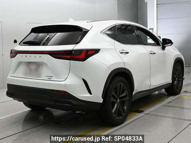 Buy Used 2023 Lexus NX AAZA25 (SP04833A) - Carused.jp