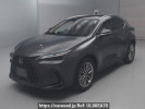 Lexus NX AAZH25