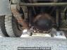 Used 1993 MT mitsubishi canter FE305BD Image[34]