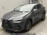 Used 2023 AT lexus nx AAZH20 Image[0]