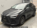 Lexus NX AAZA20