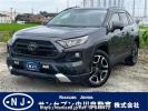 Toyota RAV4 MXAA54
