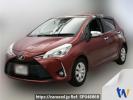Toyota Vitz NSP130