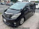 Toyota Alphard ANH20W