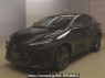 Used 2023 AT lexus nx AAZH20 Image[0]