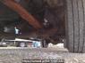 Used 1988 MT mitsubishi canter FE437F Image[30]