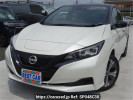 Nissan Leaf ZE1