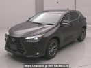 Lexus NX AAZA20