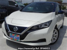 Nissan Leaf ZE1