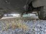 Used 2011 AT toyota vanguard ACA38W Image[25]