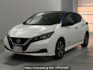 Nissan Leaf ZE1