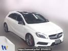 Mercedes Benz A-Class 176052
